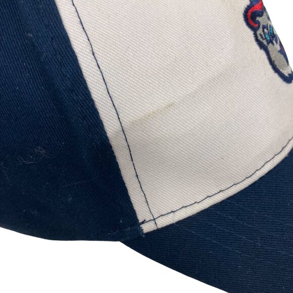 Pawtucket Red Sox Pawsox Bear Logo Cap Adjustable Minor League Baseball Defunct - Picture 3 of 8